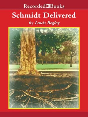 cover image of Schmidt Delivered